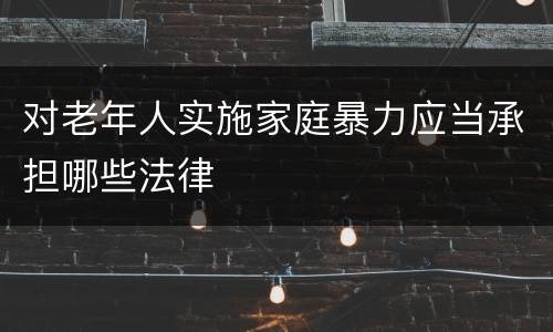 对老年人实施家庭暴力应当承担哪些法律
