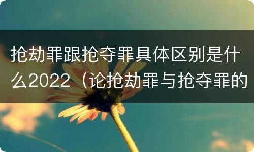 抢劫罪跟抢夺罪具体区别是什么2022（论抢劫罪与抢夺罪的界限）