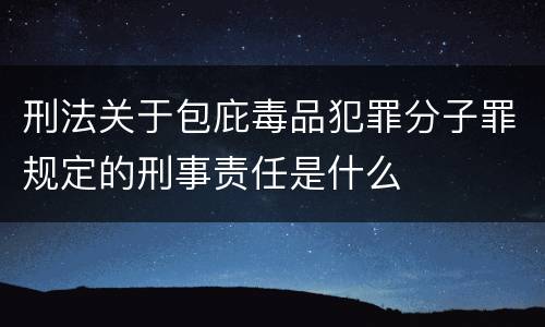 刑法关于包庇毒品犯罪分子罪规定的刑事责任是什么