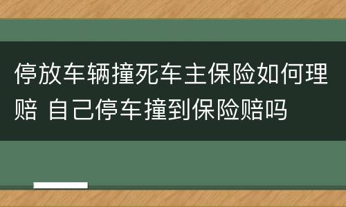 停放车辆撞死车主保险如何理赔 自己停车撞到保险赔吗