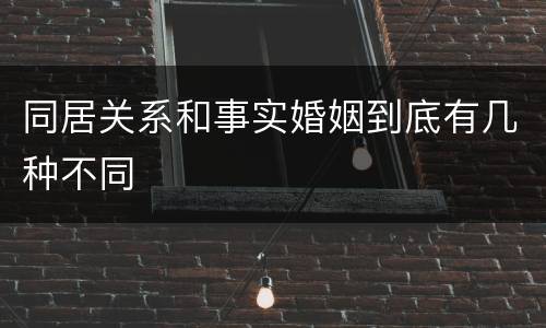 同居关系和事实婚姻到底有几种不同