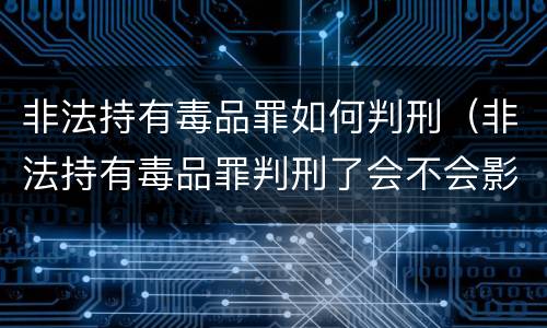 非法持有毒品罪如何判刑（非法持有毒品罪判刑了会不会影响孩子）