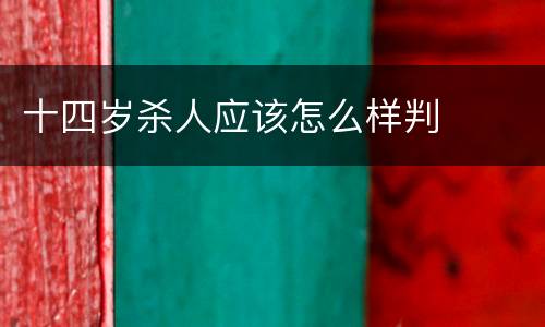 十四岁杀人应该怎么样判