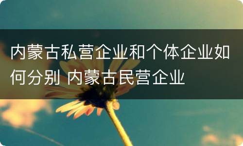 内蒙古私营企业和个体企业如何分别 内蒙古民营企业