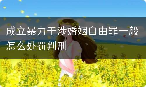 成立暴力干涉婚姻自由罪一般怎么处罚判刑