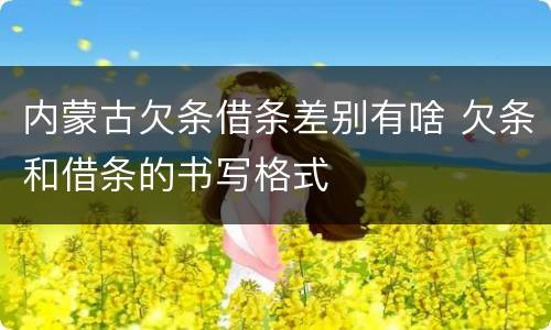 内蒙古欠条借条差别有啥 欠条和借条的书写格式