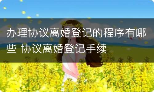 办理协议离婚登记的程序有哪些 协议离婚登记手续