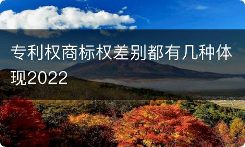 专利权商标权差别都有几种体现2022