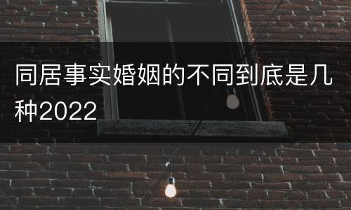 同居事实婚姻的不同到底是几种2022