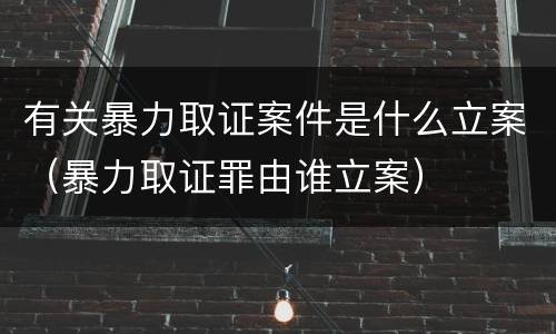 有关暴力取证案件是什么立案（暴力取证罪由谁立案）