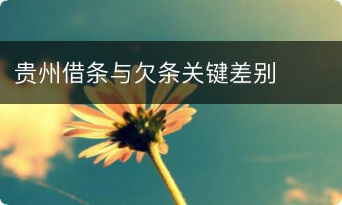 贵州借条与欠条关键差别