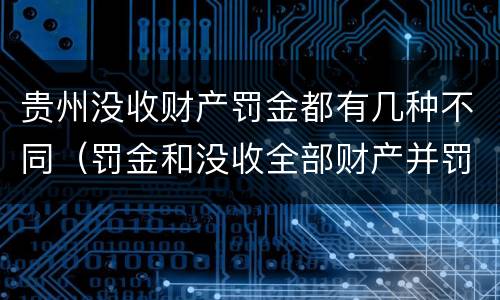贵州没收财产罚金都有几种不同（罚金和没收全部财产并罚）