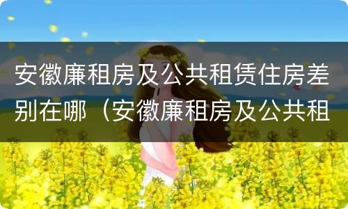 安徽廉租房及公共租赁住房差别在哪（安徽廉租房及公共租赁住房差别在哪儿）