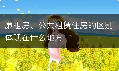 廉租房、公共租赁住房的区别体现在什么地方