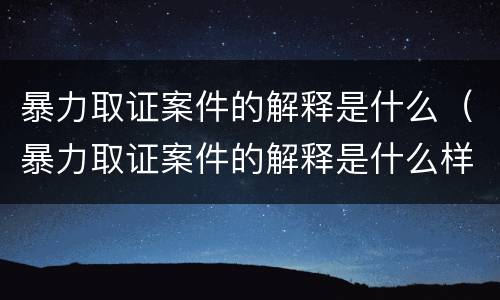 暴力取证案件的解释是什么（暴力取证案件的解释是什么样的）