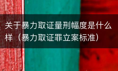 关于暴力取证量刑幅度是什么样（暴力取证罪立案标准）