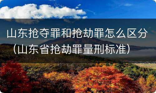 山东抢夺罪和抢劫罪怎么区分（山东省抢劫罪量刑标准）