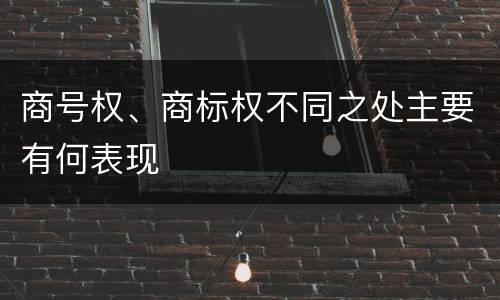 商号权、商标权不同之处主要有何表现