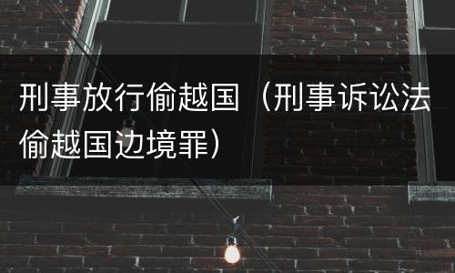 刑事放行偷越国（刑事诉讼法偷越国边境罪）
