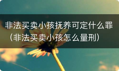 非法买卖小孩抚养可定什么罪（非法买卖小孩怎么量刑）