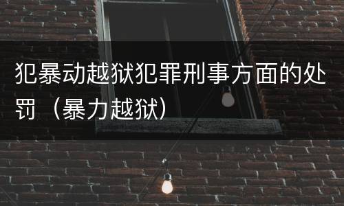 犯暴动越狱犯罪刑事方面的处罚（暴力越狱）