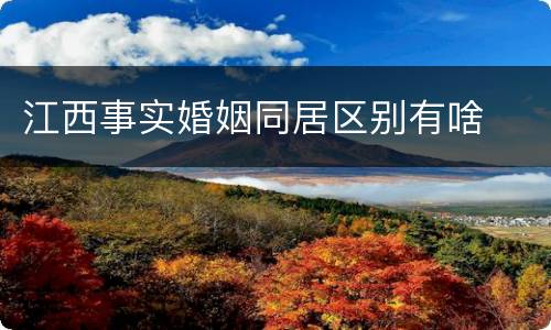 江西事实婚姻同居区别有啥
