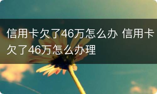 信用卡欠了46万怎么办 信用卡欠了46万怎么办理