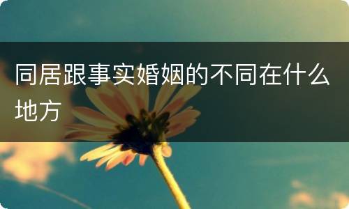同居跟事实婚姻的不同在什么地方