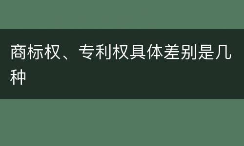 商标权、专利权具体差别是几种