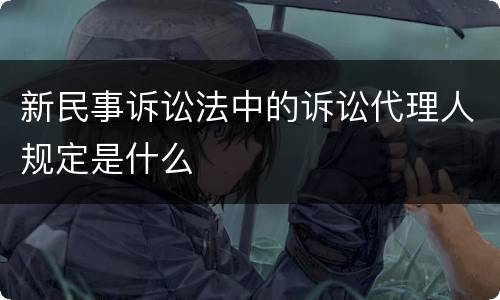 新民事诉讼法中的诉讼代理人规定是什么