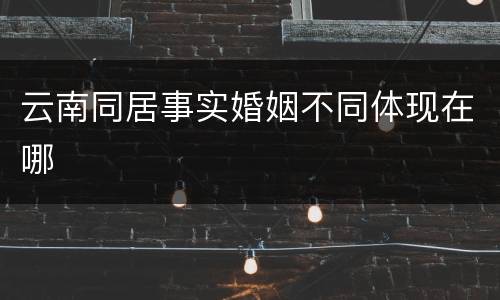 云南同居事实婚姻不同体现在哪