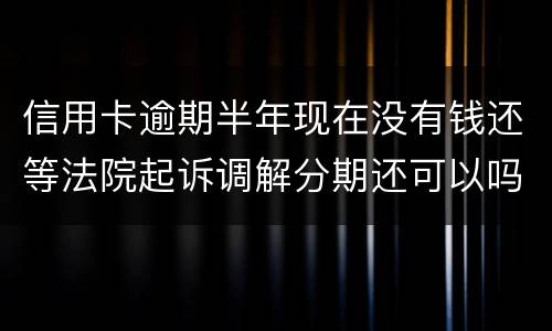 信用卡逾期半年现在没有钱还等法院起诉调解分期还可以吗