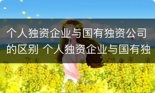 个人独资企业与国有独资公司的区别 个人独资企业与国有独资公司的区别是什么