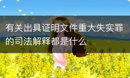 有关出具证明文件重大失实罪的司法解释都是什么