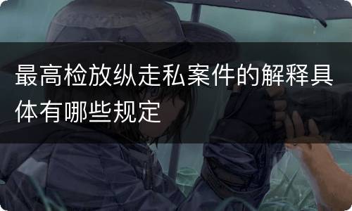 最高检放纵走私案件的解释具体有哪些规定
