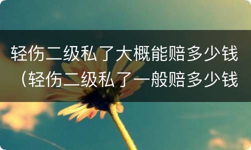 轻伤二级私了大概能赔多少钱（轻伤二级私了一般赔多少钱）