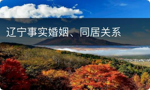 辽宁事实婚姻、同居关系