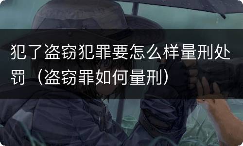 犯了盗窃犯罪要怎么样量刑处罚（盗窃罪如何量刑）