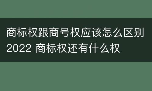 商标权跟商号权应该怎么区别2022 商标权还有什么权