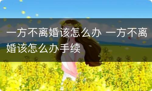 一方不离婚该怎么办 一方不离婚该怎么办手续