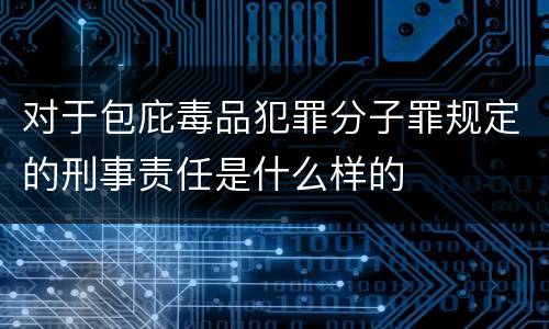 对于包庇毒品犯罪分子罪规定的刑事责任是什么样的