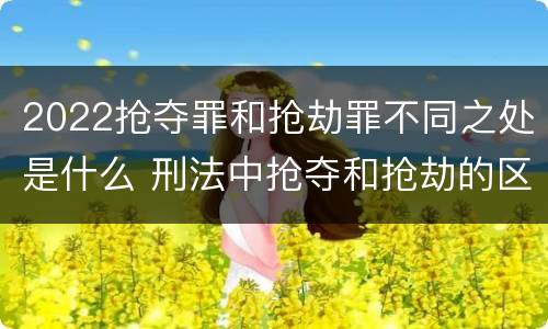 2022抢夺罪和抢劫罪不同之处是什么 刑法中抢夺和抢劫的区别