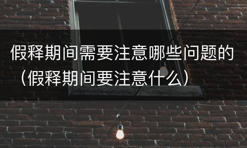 假释期间需要注意哪些问题的（假释期间要注意什么）