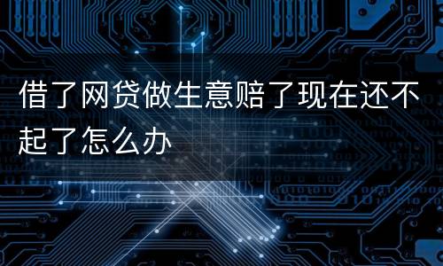 借了网贷做生意赔了现在还不起了怎么办