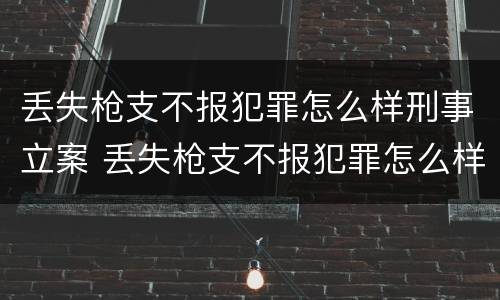 丢失枪支不报犯罪怎么样刑事立案 丢失枪支不报犯罪怎么样刑事立案呢