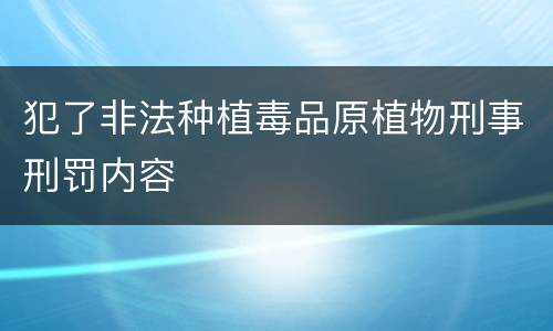 犯了非法种植毒品原植物刑事刑罚内容