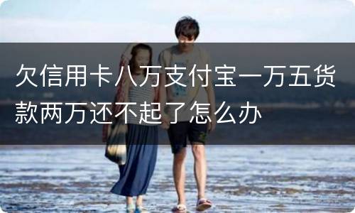 欠信用卡八万支付宝一万五货款两万还不起了怎么办