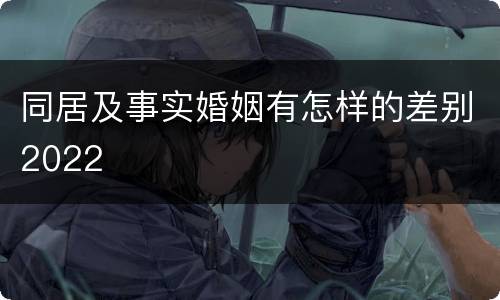 同居及事实婚姻有怎样的差别2022