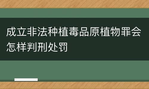 成立非法种植毒品原植物罪会怎样判刑处罚