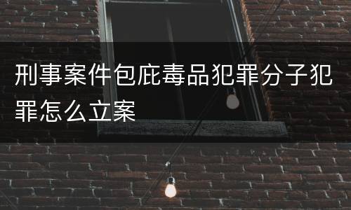刑事案件包庇毒品犯罪分子犯罪怎么立案